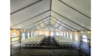 40'X100' Frame White Tent rental in Palm Beaches-Treasure Coast, FL
