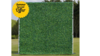 Grasswall 8'X8' rental in Palm Beaches-Treasure Coast, FL