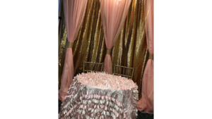 1- Panel 10'X10' - Sequin Drape - Double Layer rental Palm Beaches-Treasure Coast, FL