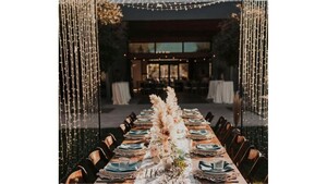 Twinkle Light Tunnel rental Phoenix, AZ