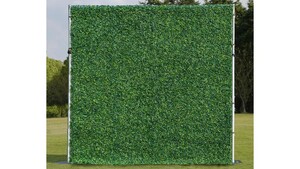 Grasswall 8'X8' (2) rental Palm Beaches-Treasure Coast, FL