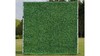Grasswall 8'X8' (2) rental in Palm Beaches-Treasure Coast, FL