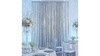Silver Sequin rental in Palm Beaches-Treasure Coast, FL