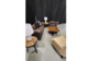Corporate Trade Show Office Setup rental in Fort Collins-Loveland, CO