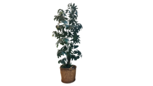 Artificial Tree rental San Diego, CA
