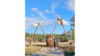 Mountain Arch rental in Pagosa Springs, CO