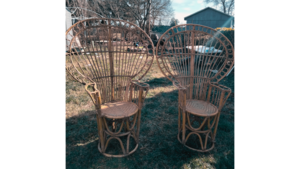 "The Twins" - Bamboo Peacock Chair rental Philadelphia, PA