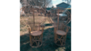 "The Twins" - Bamboo Peacock Chair rental in Philadelphia, PA