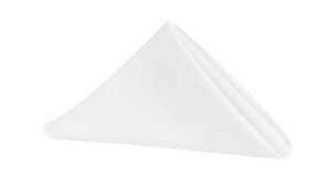 Napkin 20X20 - Polyester (Solid) rental Philadelphia, PA