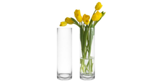 Glass Cylinder Vase - 14" rental Philadelphia, PA