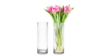 Glass Cylinder Vase - 12" rental in Philadelphia, PA