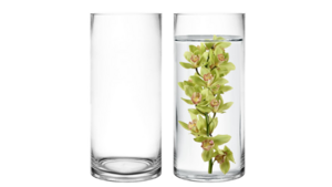 Glass Cylinder Vase - 9" rental Philadelphia, PA
