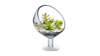 Glass Terrarium Bubble Vase rental in Philadelphia, PA
