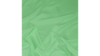 Poly Napkin - Mint (Limited) rental in San Diego, CA