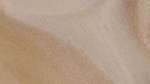 Shantung 12' Drape 72" X 144" - Champagne rental San Diego, CA