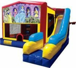 Bounce House Combo with Disney Princess Panel rental in San Antonio, TX