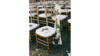 Gold Chiavari Chair rental in Auburn, AL