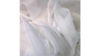 10'X10' White Sheer Drape Panel rental in Auburn, AL