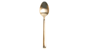 Gold Spoon rental Auburn, AL