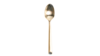Gold Teaspoon rental in Auburn, AL