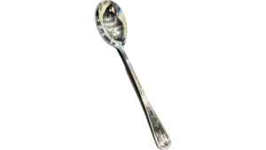 Stainless Serving Spoon rental Auburn, AL