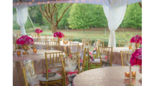 10' White Leg Drape rental Auburn, AL