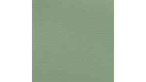 Sage Polyester Runner rental Auburn, AL