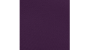 90"X132" Aubergine Polyester Linen rental Auburn, AL