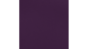 20"X20" Aubergine Polyester Napkin rental Auburn, AL