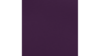 20"X20" Aubergine Polyester Napkin rental in Auburn, AL