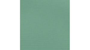 20"X20" Seamist Polyester Napkin rental Auburn, AL