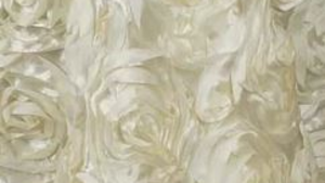 108" Ivory Rosette Linen rental Auburn, AL