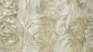 120" Ivory Rosette Linen rental Auburn, AL