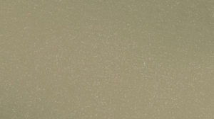 120" Sand Radiance Linen rental Auburn, AL