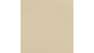 20"X20" Tan Polyester Napkin rental Auburn, AL