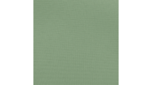 90"X132" Sage Polyester Linen rental Auburn, AL