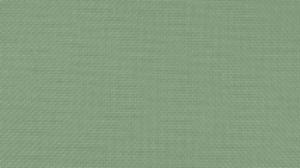 20”X20” Sage Polyester Napkin rental Auburn, AL