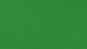 20"X20" Kelly Polyester Napkin rental Auburn, AL