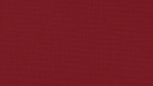 Holiday Red Polyester Sash rental Auburn, AL
