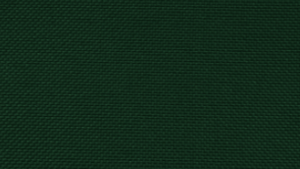20"X20" Forest Green Polyester Napkin rental Auburn, AL