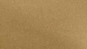 90"X156" Antique Gold Duchess Linen rental Auburn, AL
