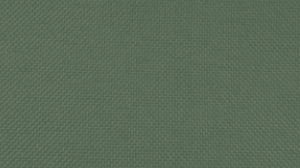 90"X156" Army Green Polyester Linen rental Auburn, AL