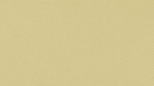 20"X20" Honey Polyester Napkin rental Auburn, AL