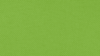 Lime Green Polyester Sash rental in Auburn, AL