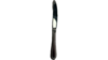 Feathered Dinner Knife rental in Auburn, AL