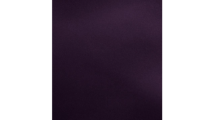 20"X20" Aubergine Duchess Napkin rental Auburn, AL