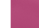 Hot Pink Polyester Sash rental in Auburn, AL