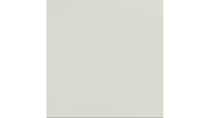 20"X20" Oyster Polyester Napkin rental Auburn, AL