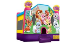 Disney Palace Pets Inflatable Bounce House rental Pittsburgh, PA