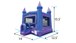Blue And Purple Standard Inflatable rental Pittsburgh, PA